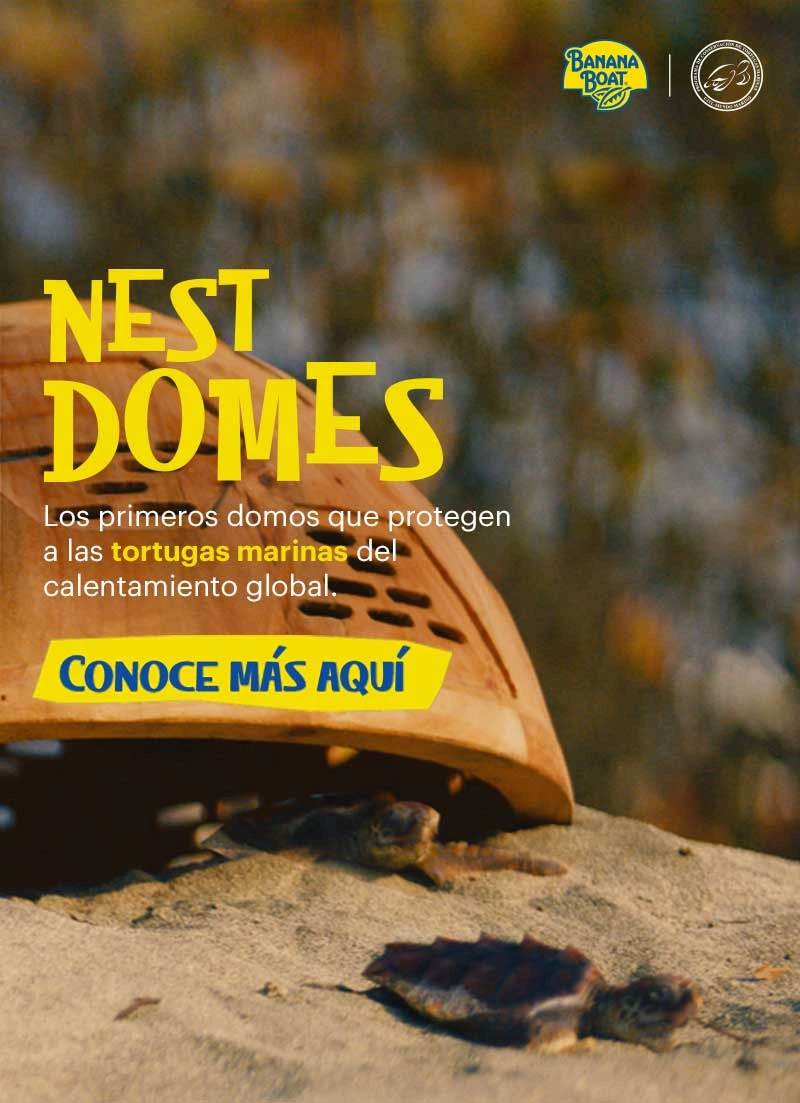 Banana Boar ayuda a la protección de las tortugas marinas del calentamiento global